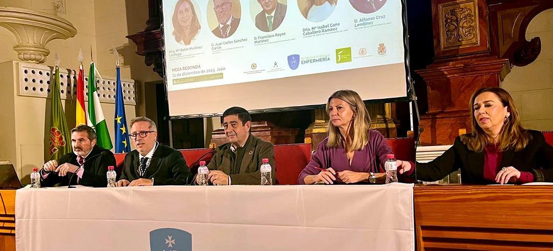 La Academia Andaluza de Enfermería marca su hoja de ruta, donde el futuro de la sanidad andaluza pasa por el liderazgo de la Enfermería